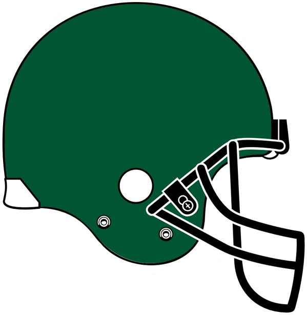 Tulane Green Wave 2005 Helmet Logo t shirts DIY iron ons